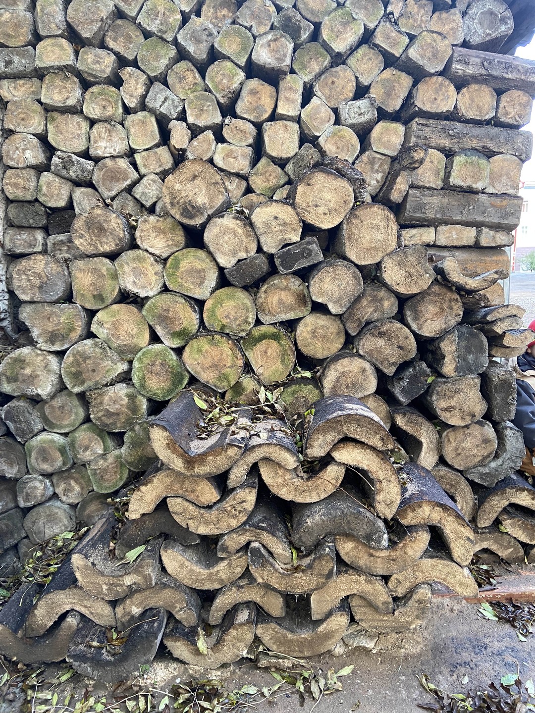 По следам археологических открытий (на вашем автомобиле) (Анна)