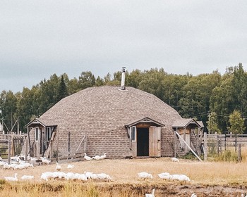Посещение сыроварни: знакомство с процессом приготовления и дегустация