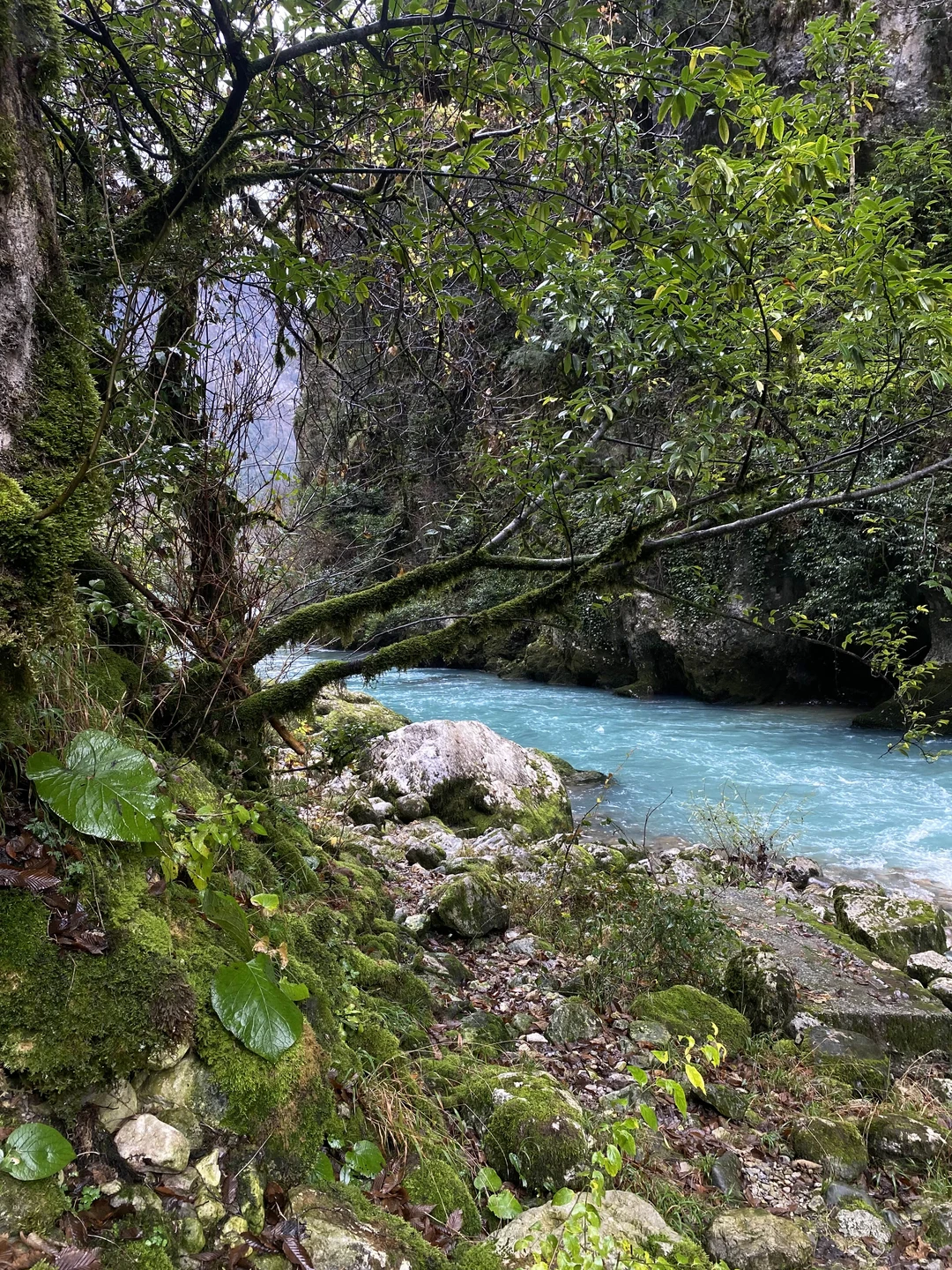 Отличная, нетривиальная подача материала! Программа была отлично адаптирована к времени года, погоде и обстановке на месте!