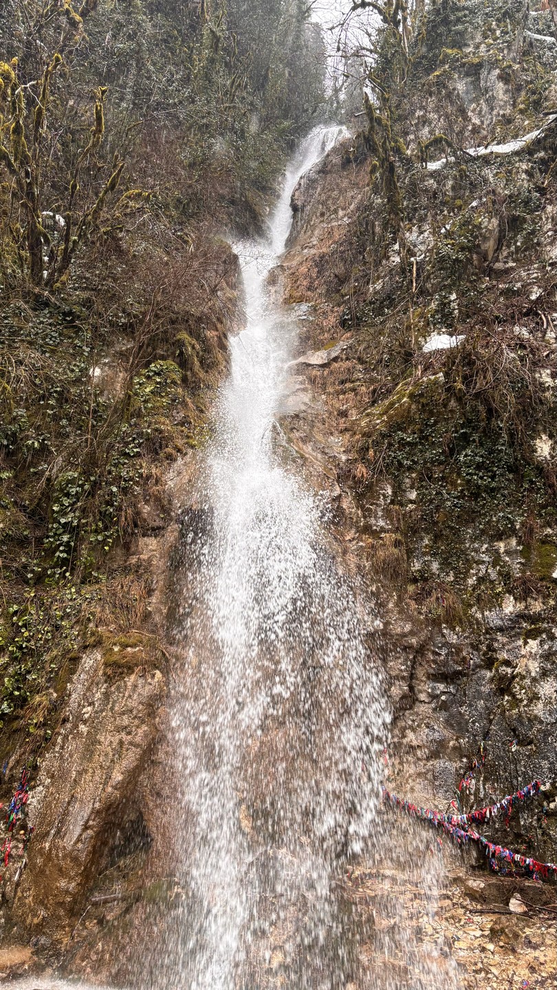 Групповая экскурсия по солнечной Абхазии (Dina)