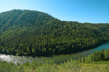Село Верх-Уймон, старообрядческий дом или дом-музей Н.К. Рериха