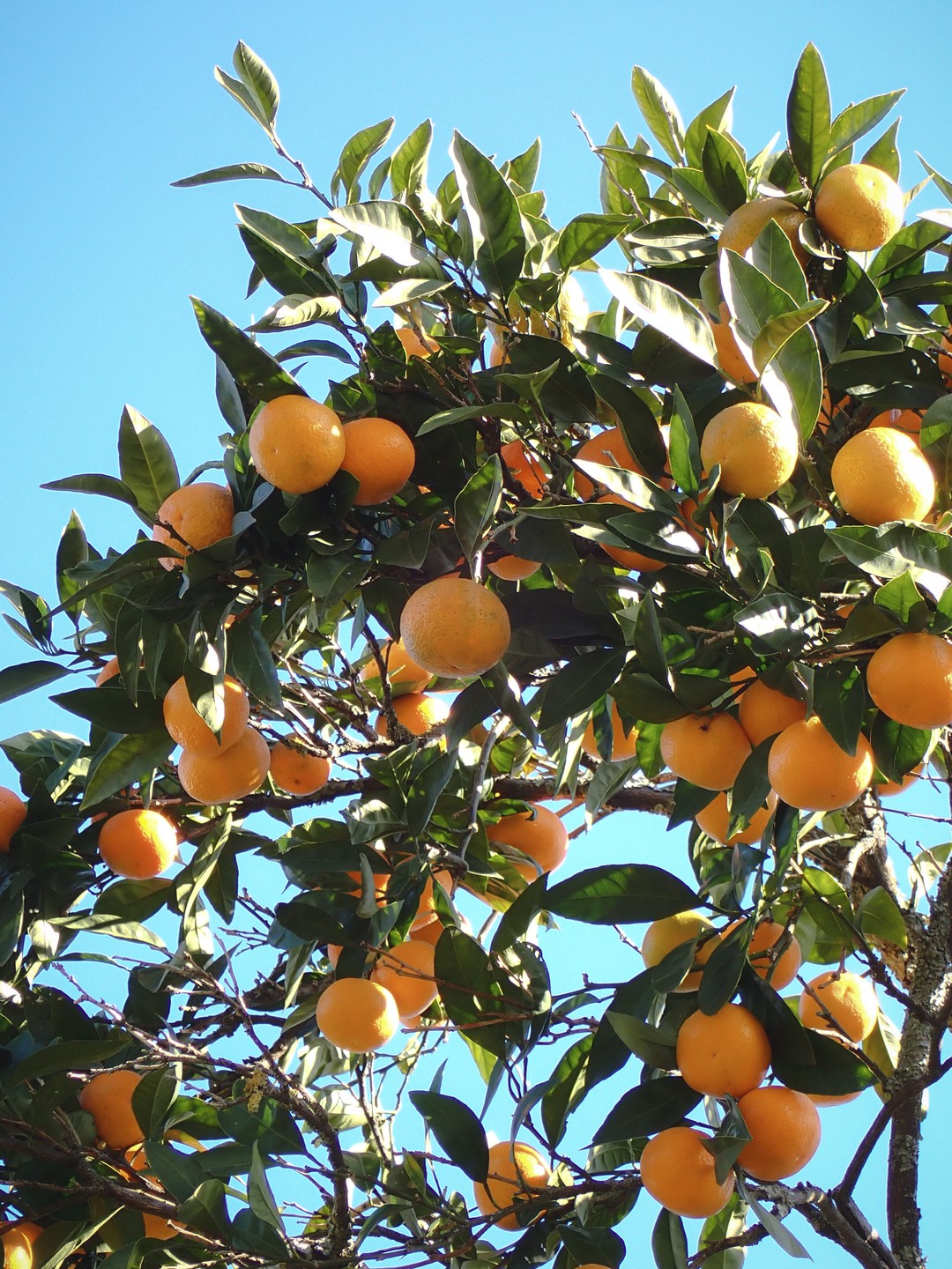 Очень все понравилось! Хороший маршрут, и природу посмотрели и города, проехали почти всю Абхазию. Очень содержательные