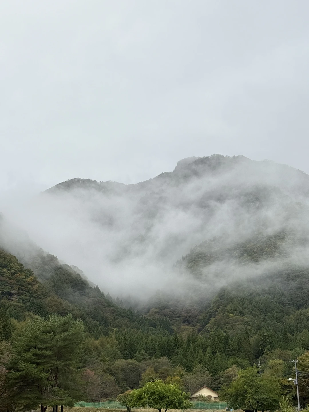 Ольга, огромное Вам спасибо за экскурсию. Поездка к Фудзи надолго останется в моей памяти