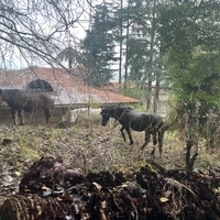 Фото отзыва 3: экскурсия "Абхазия с открытки — из Сочи и Адлера"