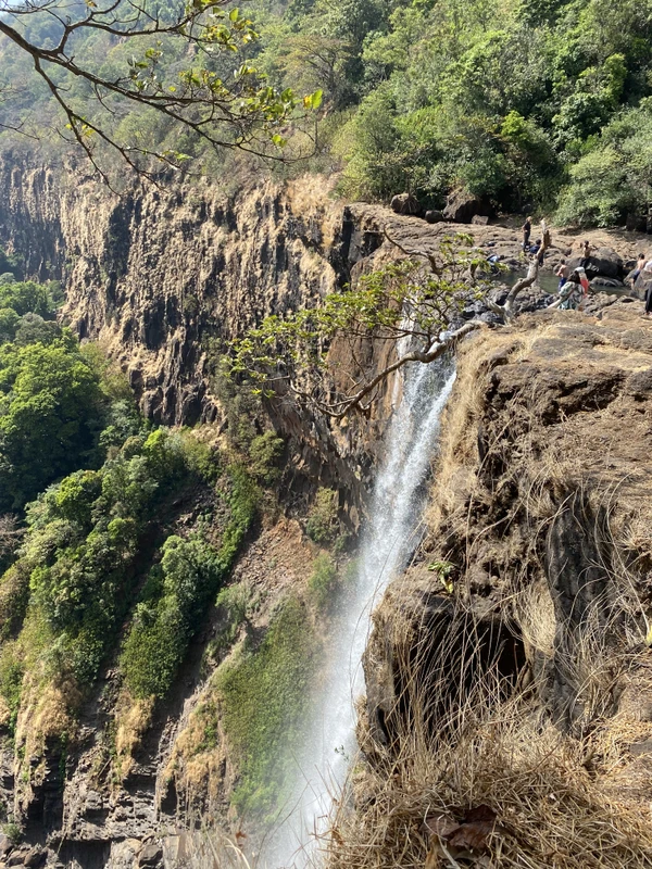 Хайкинг по джунглям Гоа