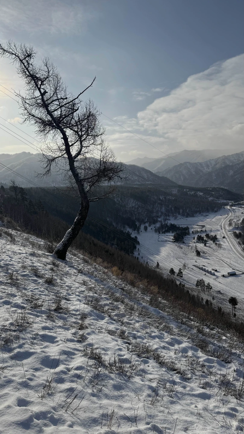 Вячеслав отличный рассказчик. Много знает исторических фактов. Слушали с большим интересом