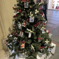 Фото отзыва 2: экскурсия "Магия новогодней Москвы с гаданием и чаепитием"