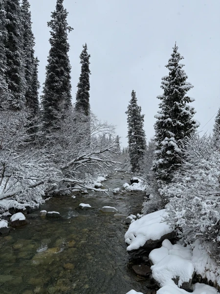 Наш гид Юрий был чудесен. Видно, что знает, о чем рассказывает и действительно горит этим делом.