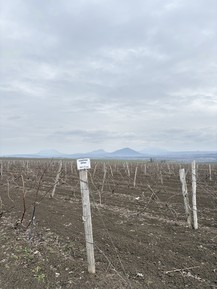 Фото отзыва 3: экскурсия ""