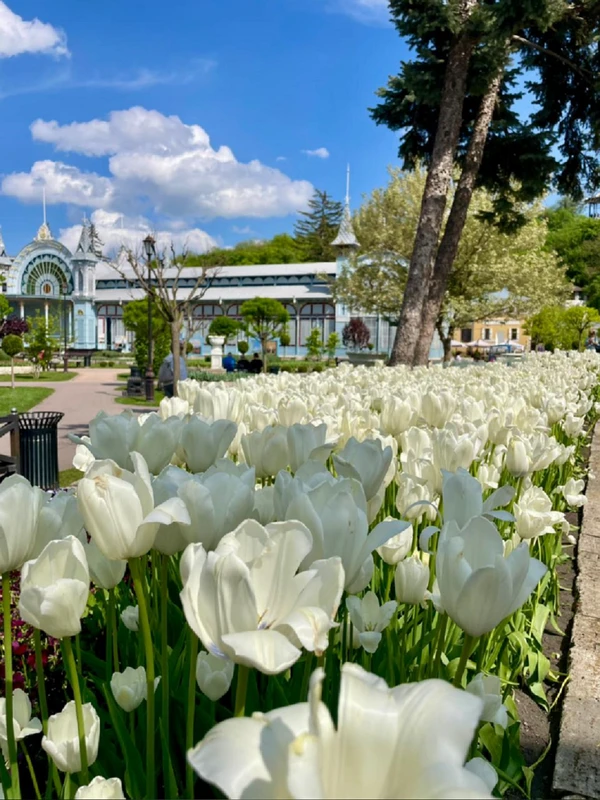 Из Кисловодска - по Пятигорску, Ессентукам и Железноводску