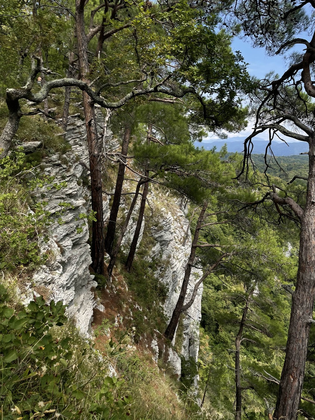 Спасибо Михаилу за проведенную экскурсию! Нам всем понравилось, было очень насыщенно, то что мы и хотели! Ожидания совпали с реальностью)