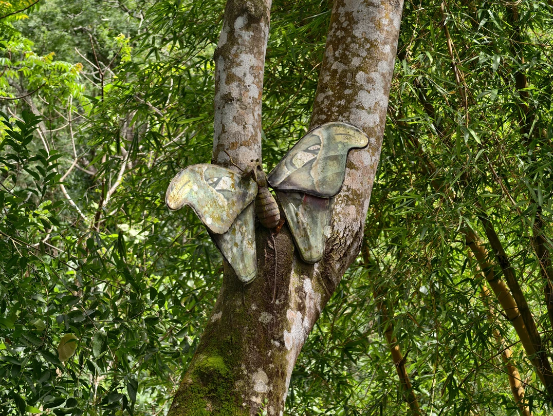 Тропические джунгли Янода - путешествие из Саньи (Дмитрий)