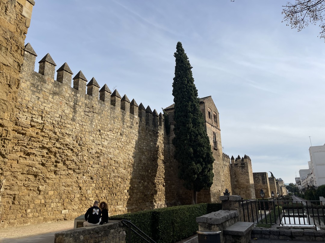 Рубен - профессиональный гид, который любит свое дело и свой город! С таким человеком узнаешь много