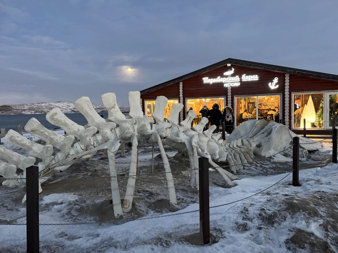 Возил нас Алексей, было легко и непринужденно, сплочено, Алексей всю поездку рассказывал много интересного, галантный и
