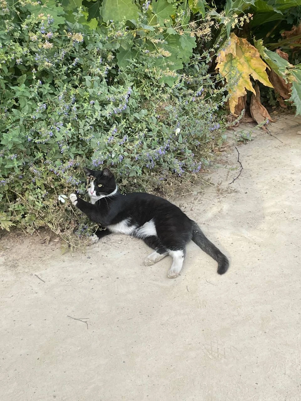 Очень интересная и динамичная экскурсия: много исторического материала, неожиданных фактов о городе и самом Аптекарском огороде.