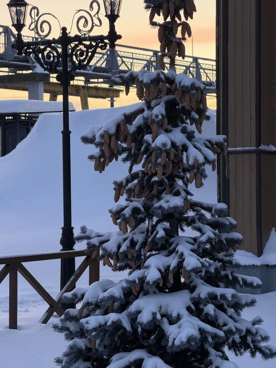 Нам очень понравилась экскурсия с Татьяной. Много интересных фактов, на все наши вопросы были ответы) Еще