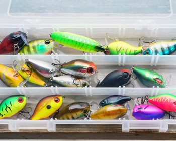 Заезд, вводная часть про технику ловли и рыбалка с берега