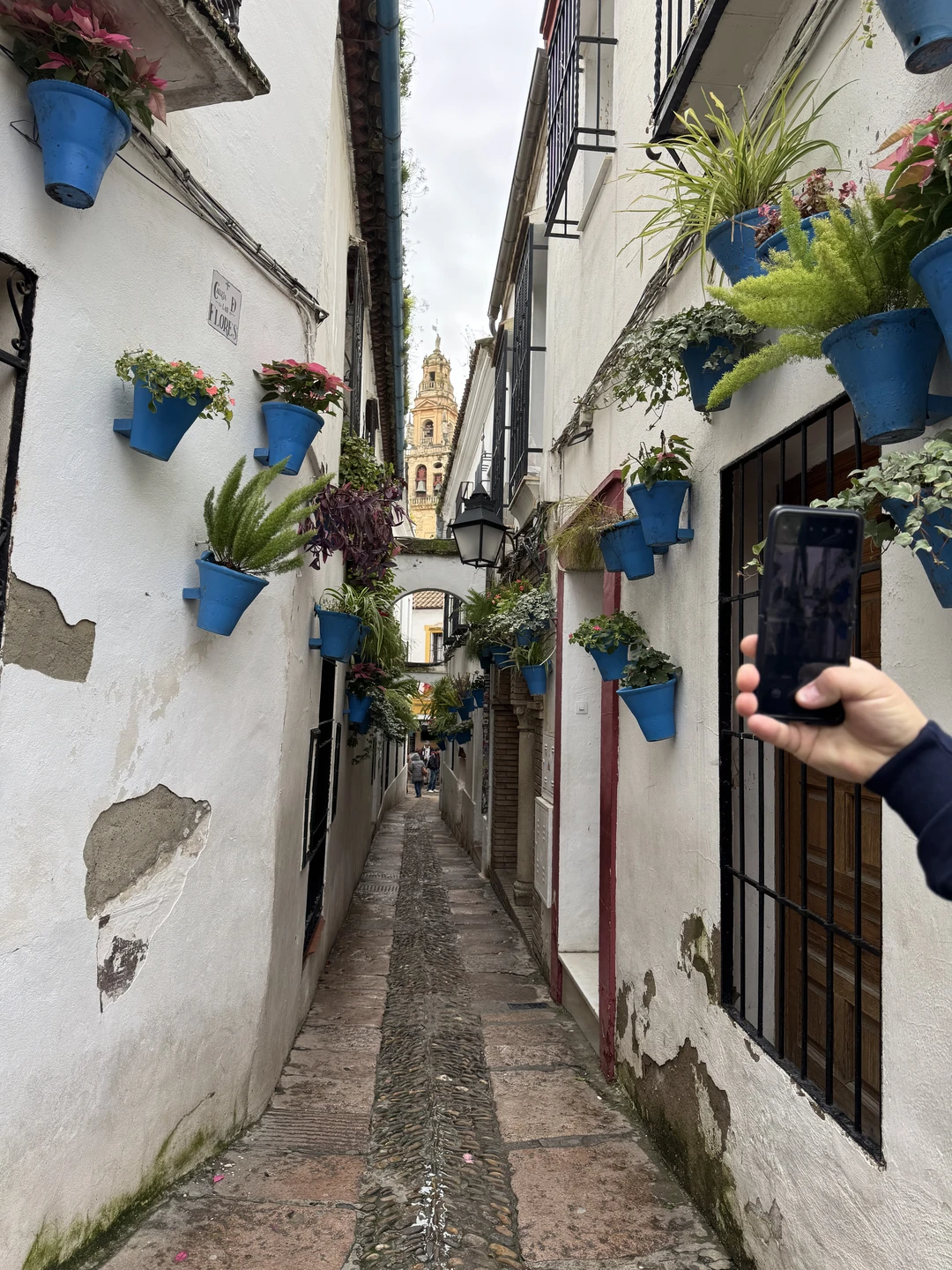 Спасибо огромное Павлу за экскурсию!