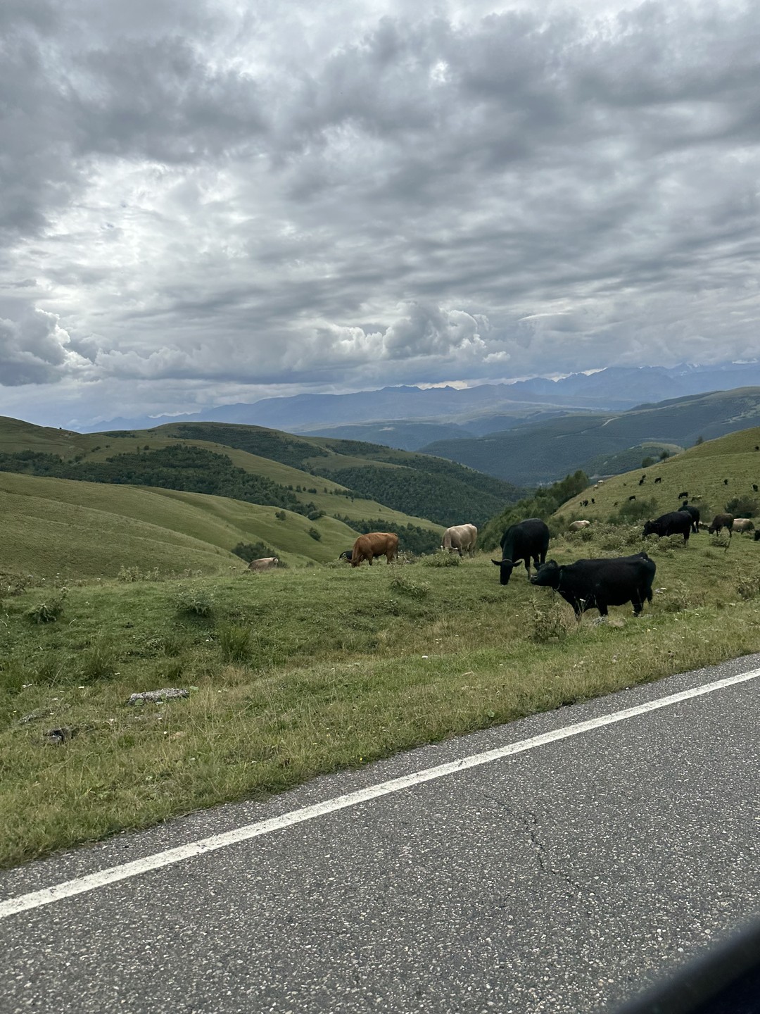 В целом экскурсией остались почти довольны. Дмитрий пунктуальный, вежливый гид-водитель. Рассказывал информацию сам и по возможности