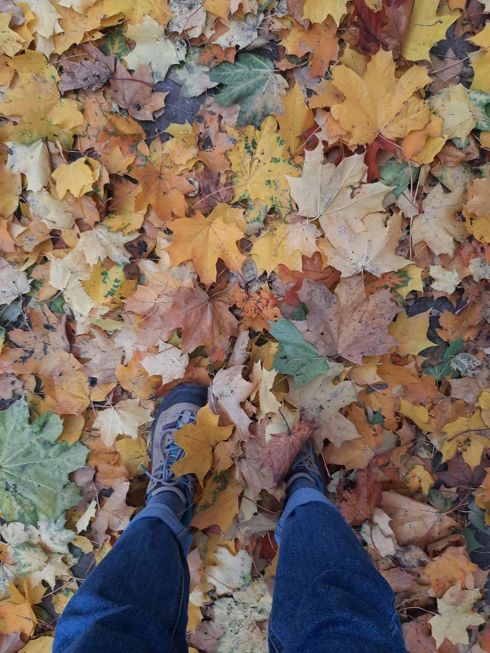 Прекрасная экскурсия! По организации всё очень чётко и понятно. За день до экскурсии в чате трипстера