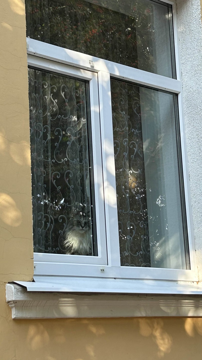 Легенды и байки Рязани (Елена)