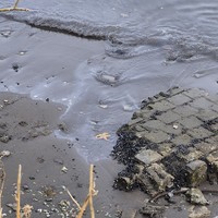 Фото отзыва 6: экскурсия ""