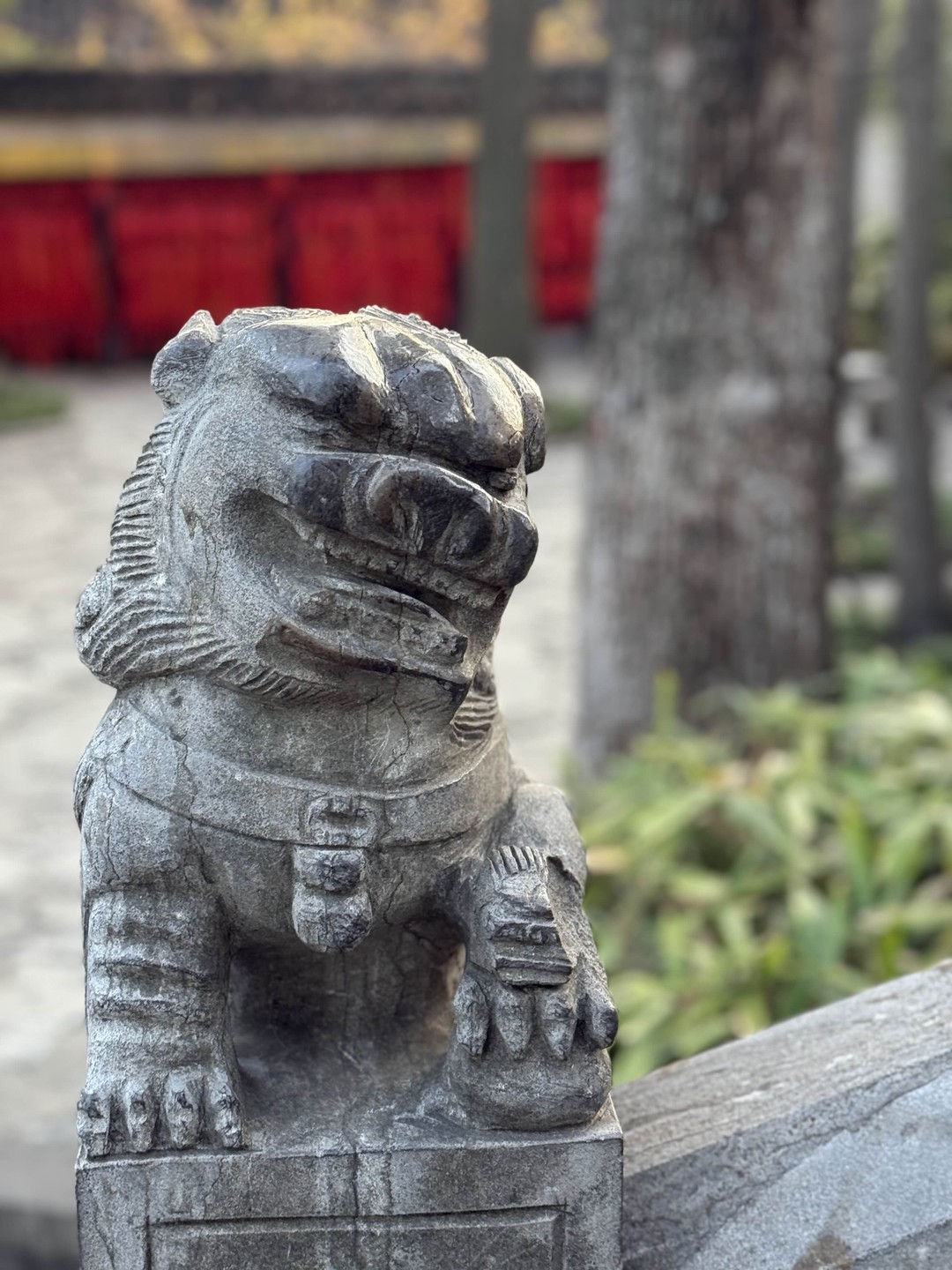 Из Шанхая - в прекрасный Сучжоу (Марина)