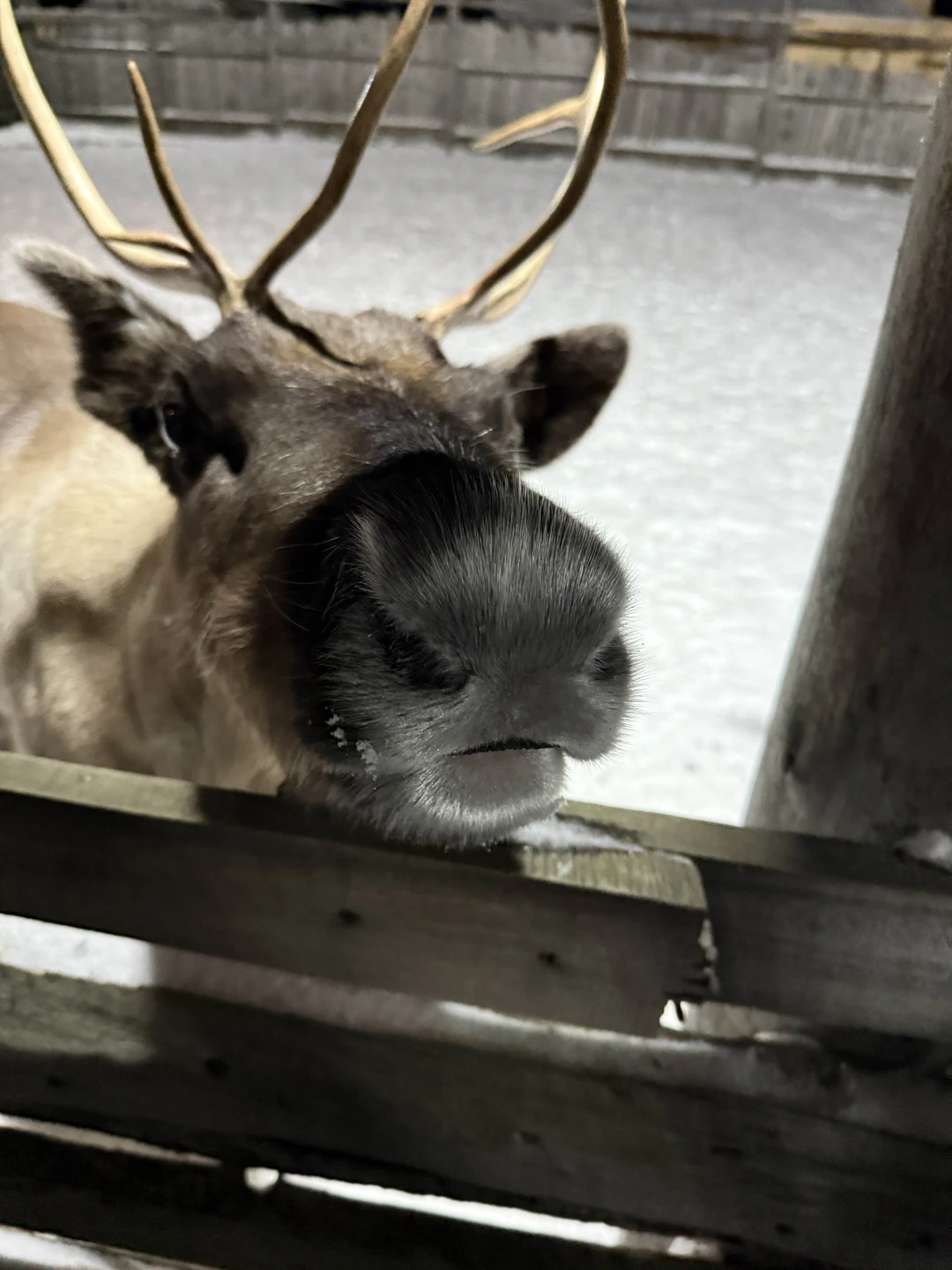 Мы провели прекрасный день в компании Александра. Экскурсия интересная, содержательная. Александр был очень внимателен к нашим