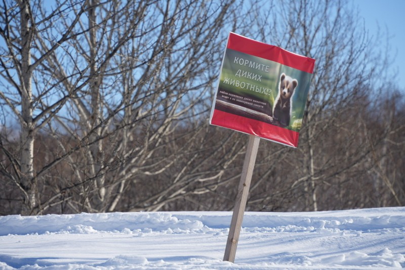 Мы — группа туристов из Китая, всего 6 человек. Кирилл и его команда прекрасно организовали нам