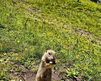 Дорога на Джилы-Су: горы, водопады, парящие скалы, пикник с видом на Эльбрус
