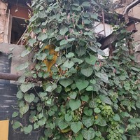 reviews img