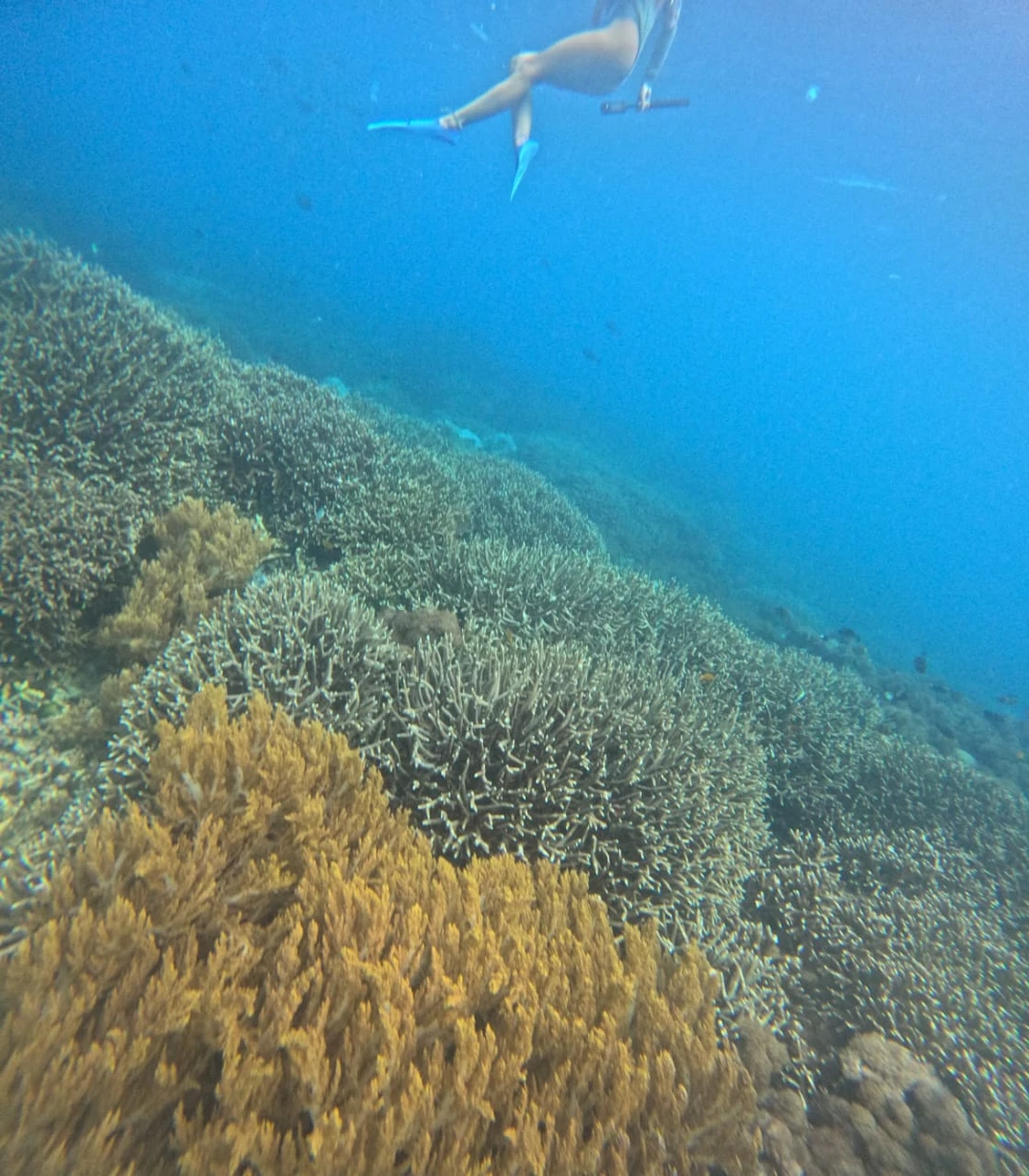 Итак, начну рассказ об этом удивительном и непростом дне