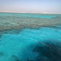 Фото отзыва 1: экскурсия "Египетские Мальдивы: групповая прогулка на яхте!"