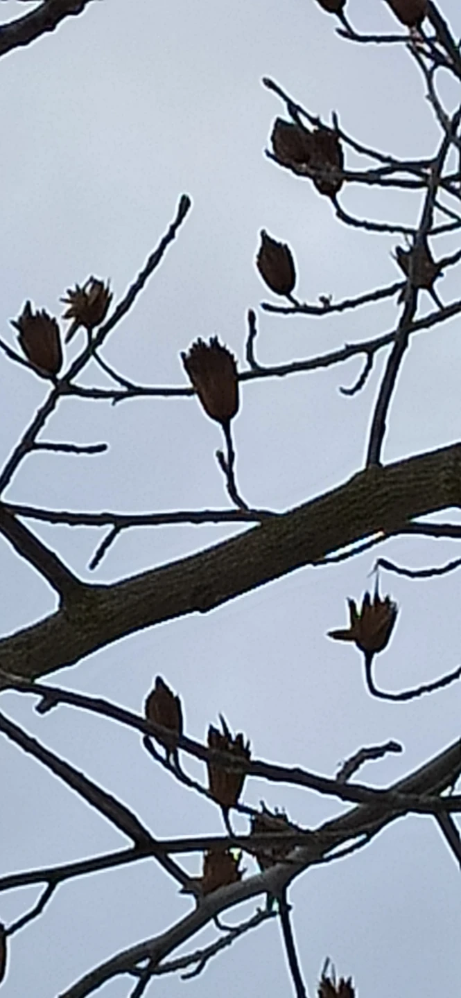 По Краснодару и парку Галицкого (пешком и на машине) (Светлана)