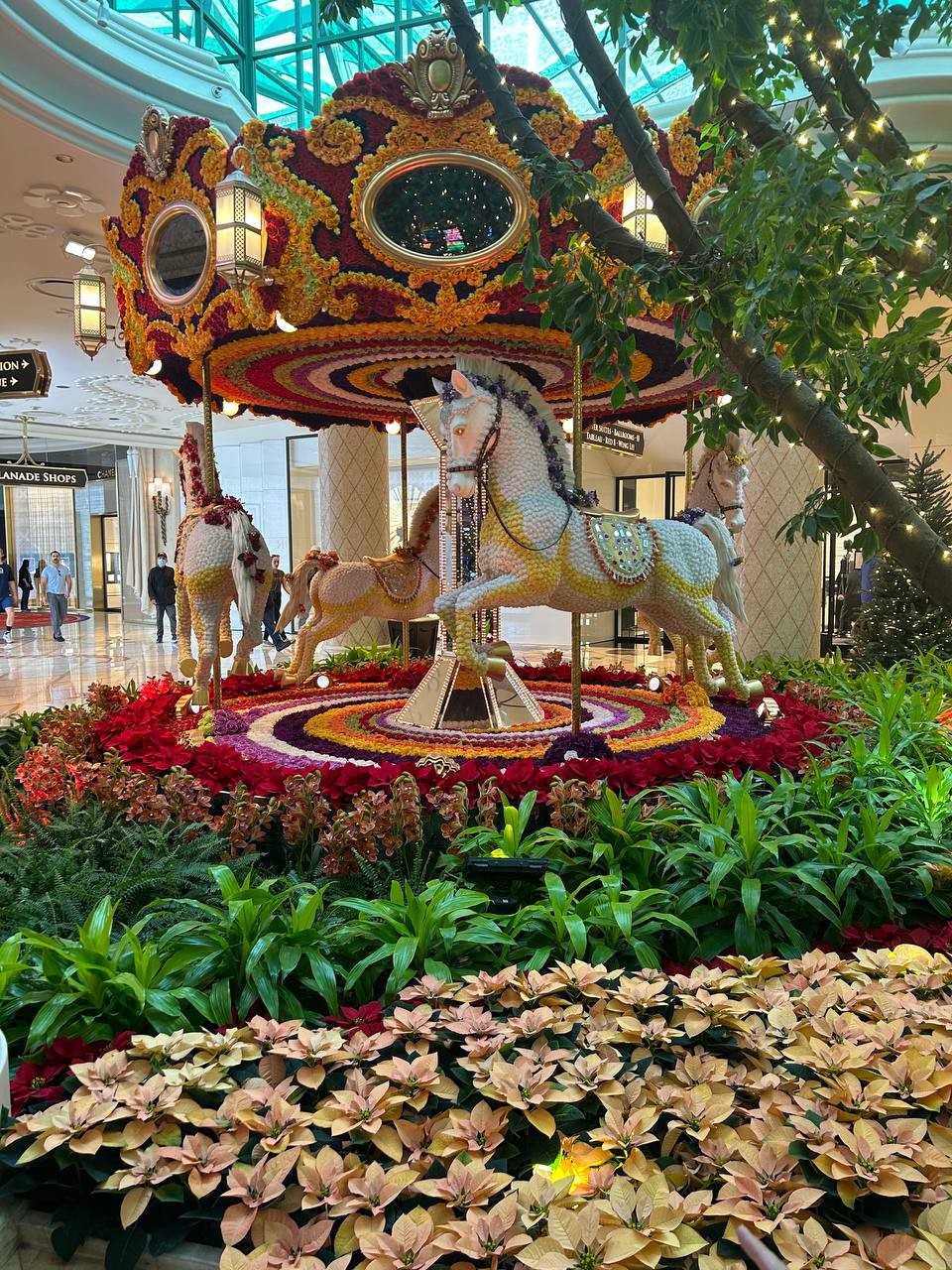 Виктория - это прекрасный гид. Профессионал с большой буквы. Кроме безупречной подачи информации туристам об объектах