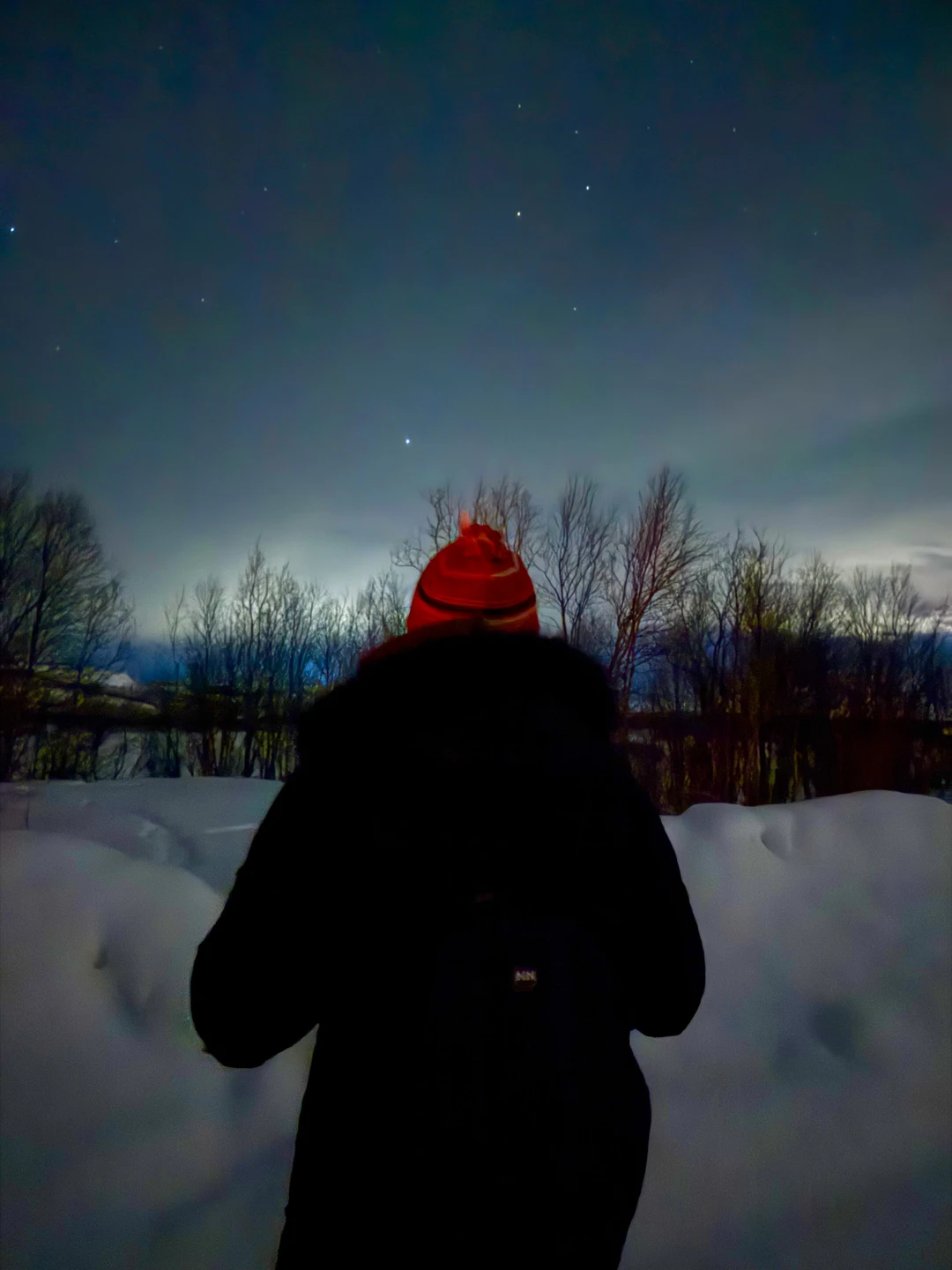 Наше путешествие на север и знакомство с Мурманском было связано, конечно, с желанием увидеть одно из