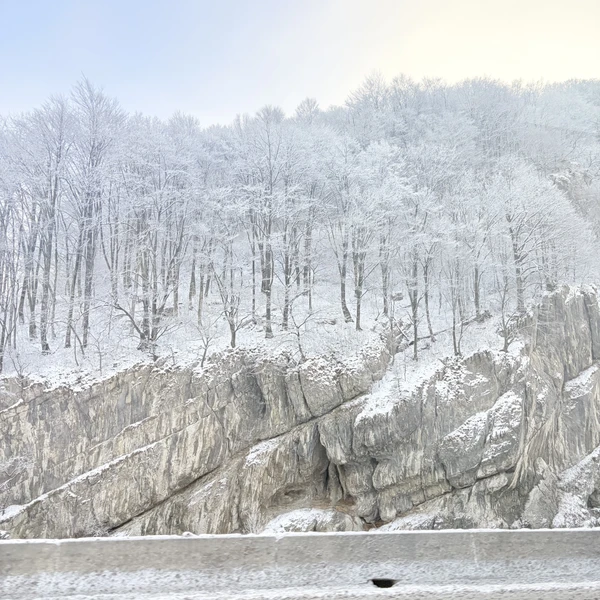 все отлично прошло