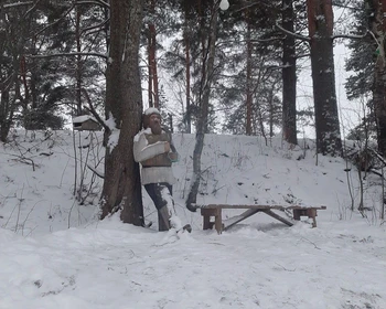 Тренировочный центр экспедиционных собак, деревня Киндасово, размещение в Петрозаводске