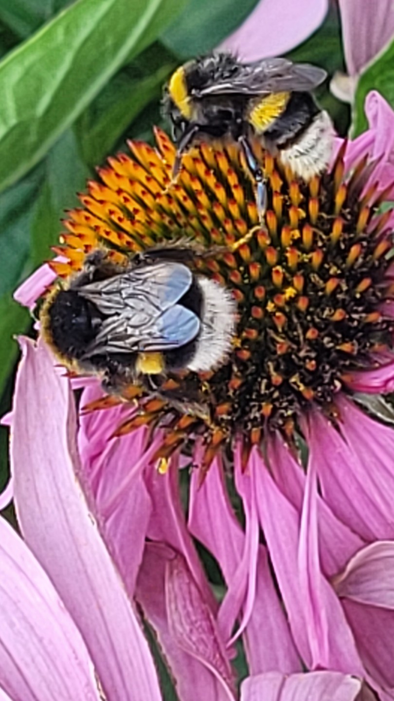 Городецкий край - русская Финляндия (из Нижнего Новгорода) (Светлана)
