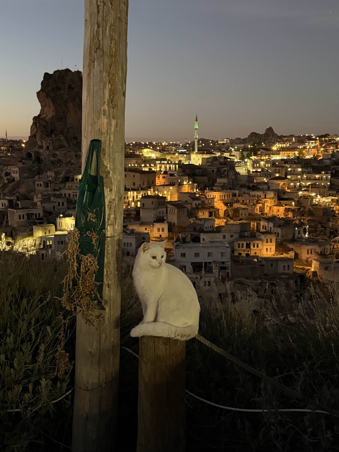 Наше путешествие подходит к концу и хочется оставить отзыв об этих двух незабываемых днях!