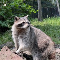 Фото отзыва 5: экскурсия "Сафари-парк и три бухты: Муравьиная, Шамора и Стеклянная (в мини-группе)"