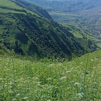 Фото отзыва 3: экскурсия "В Хунзах — туда, где бьётся сердце гор"