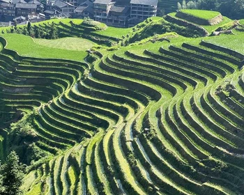 Переезд в заповедник рисовых террас «Лунцзи»