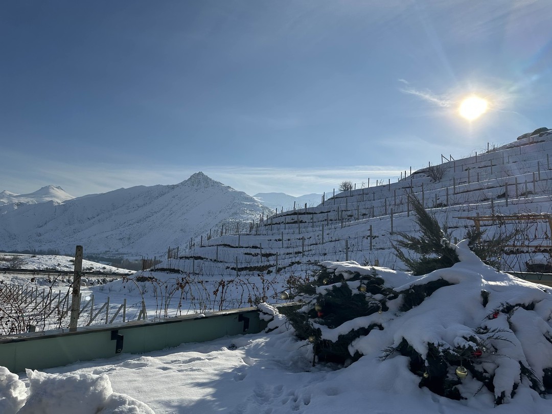 Это лучший гид в Ереване!!!! Добрый, умный, красивый)) рекомендую всем! Будете в Ереване, обязательно возьмите экскурсию