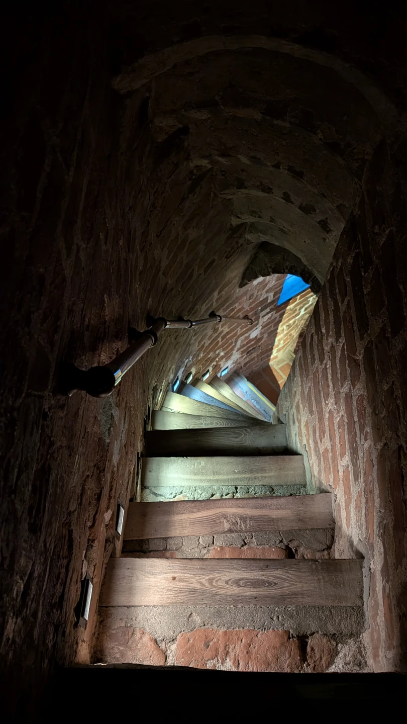 Замки Беларуси: групповая экскурсия в Мир и Несвиж из Минска (Ксения)