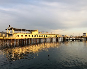 Фото отзыва 1: авторский тур "Перезагрузка в Абхазии: йога-тур с духовными практиками и экскурсиями"