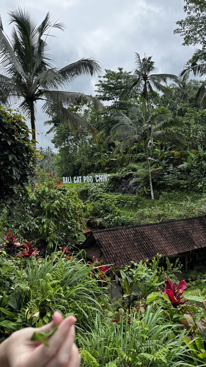 Традиции и обряды Бали (LIKA)