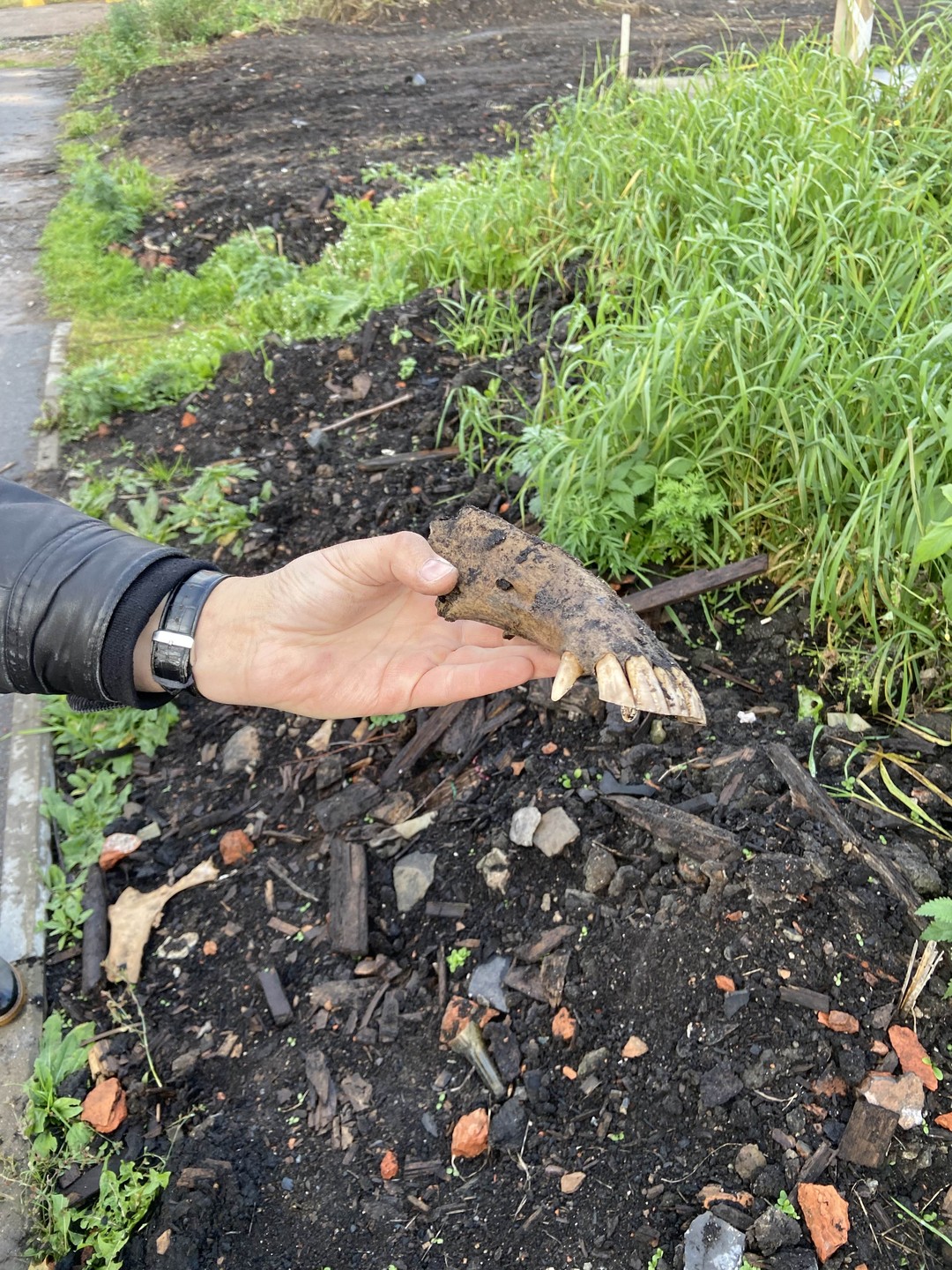 По следам археологических открытий (на вашем автомобиле) (Анна)