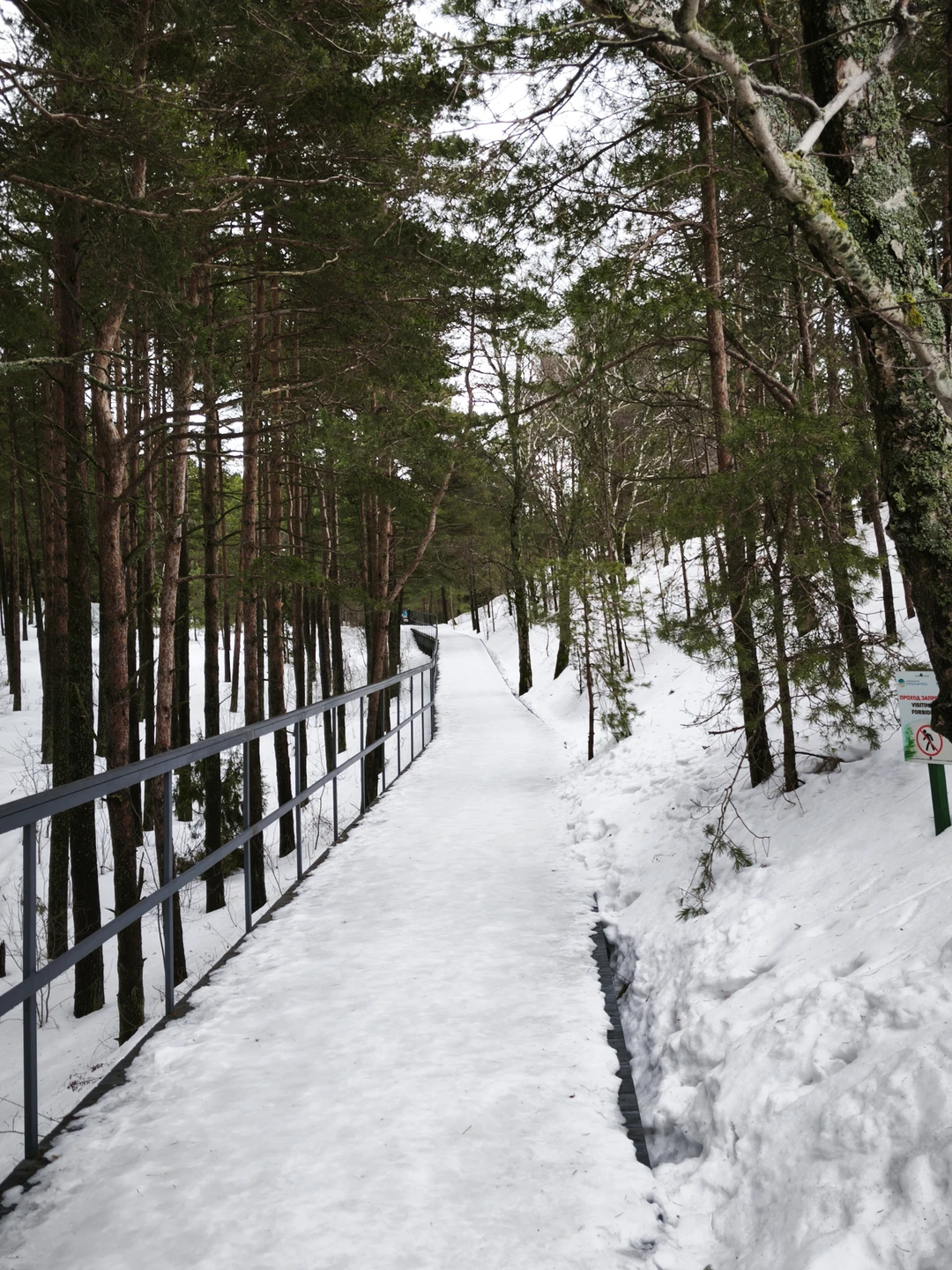 Огромное спасибо Регине за прекрасную экскурсию. Узнади много интересного. Природа прекрасна в любое время года