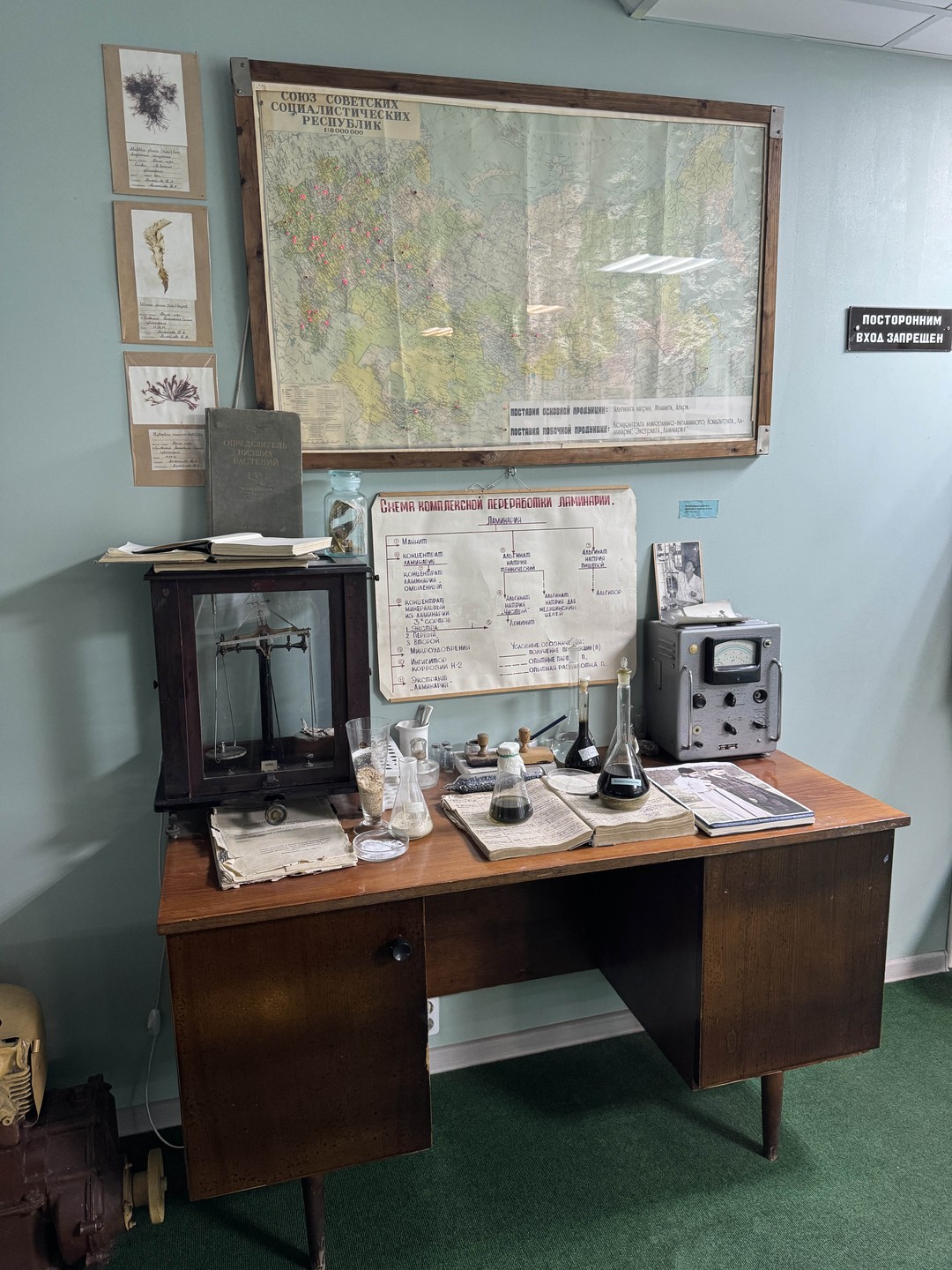 Нам экскурсия очень понравилась. Узнали много нового. Сам музей небольшой, но рассказ гида Александры был очень